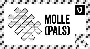 The modular system of equipment mounting MOLLE (PALS)