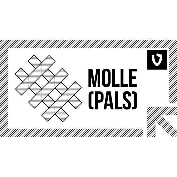The modular system of equipment mounting MOLLE (PALS)